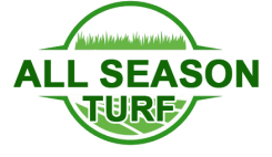 All season Turf